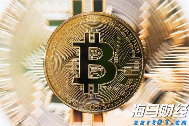 大桥海关查获一起走私濒危鱼翅出境案