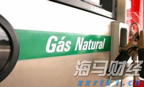 160万亩林地释放“绿色生产力”  张家口市林下经济年产值突破3.15亿元